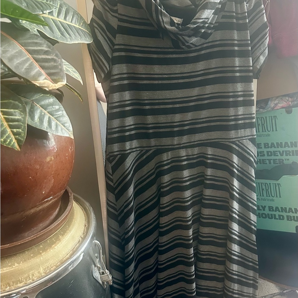 Striped Black and Gray Women's Dress